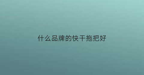 什么品牌的快干拖把好(质量最好的拖把)