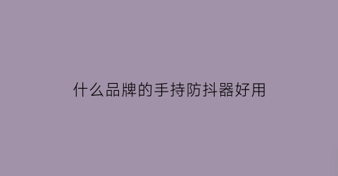 什么品牌的手持防抖器好用(什么品牌的手持防抖器好用又实惠)