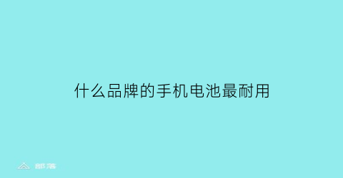 什么品牌的手机电池最耐用(什么品牌手机电池最耐用2021)