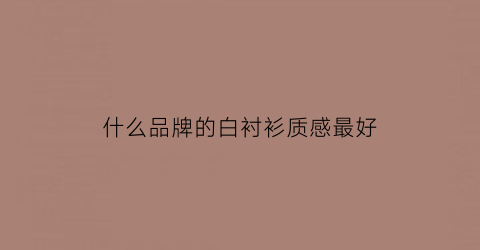 什么品牌的白衬衫质感最好(什么牌子的白衬衫质量好价格也便宜)