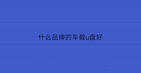 什么品牌的车载u盘好(哪个牌子车载u盘好)