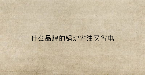 什么品牌的锅炉省油又省电(什么品牌的锅炉省油又省电又好用)