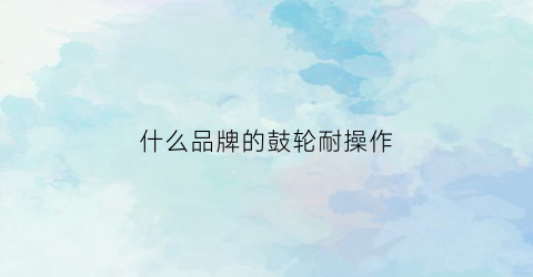 什么品牌的鼓轮耐操作(什么品牌的鼓轮好)