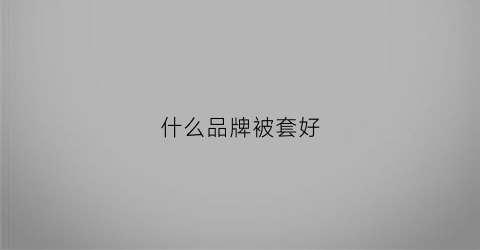 什么品牌被套好(什么品牌被套好)