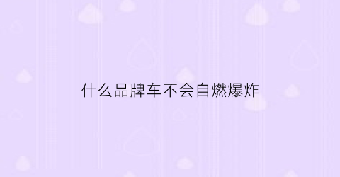 什么品牌车不会自燃爆炸(什么品牌车不会自燃爆炸呢)