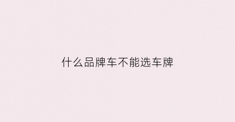 什么品牌车不能选车牌(什么样的车牌号不能选)