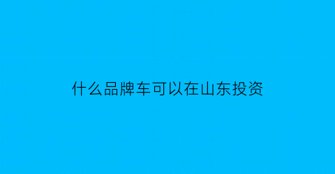 什么品牌车可以在山东投资