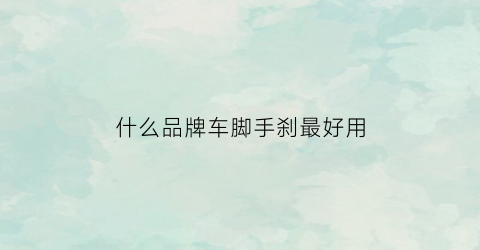 什么品牌车脚手刹最好用(脚刹手刹的专业名称)
