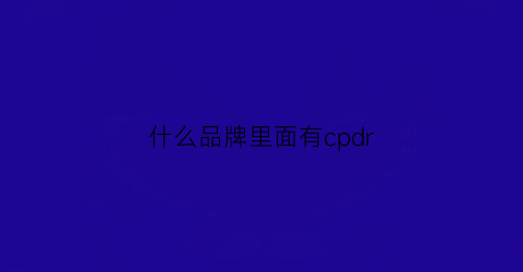 什么品牌里面有cpdr(什么品牌里面有迪)