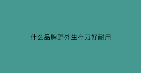 什么品牌野外生存刀好耐用(什么品牌野外生存刀好耐用又实惠)