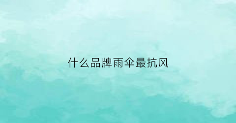 什么品牌雨伞最抗风(什么品牌的雨伞结实耐用)