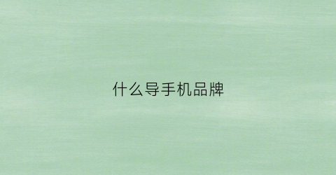 什么导手机品牌(导手机用什么软件)