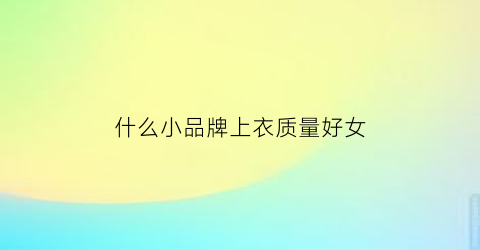 什么小品牌上衣质量好女(有什么小品牌的服装品牌)