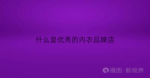 什么是优秀的内衣品牌店(专业做内衣的品牌)