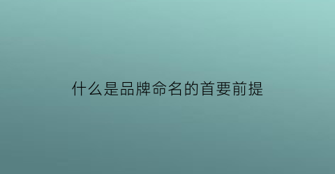 什么是品牌命名的首要前提(品牌命名的基本原则是什么)