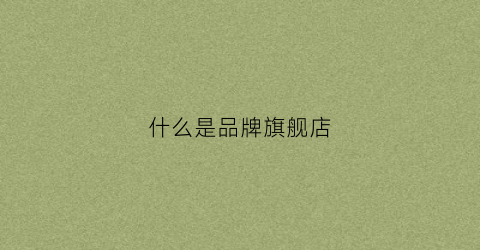什么是品牌旗舰店(什么叫品牌旗舰店)