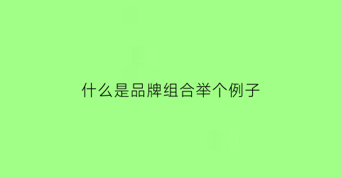 什么是品牌组合举个例子(品牌组合的战略意义是什么)