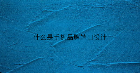 什么是手机品牌端口设计(什么是手机品牌端口设计的)