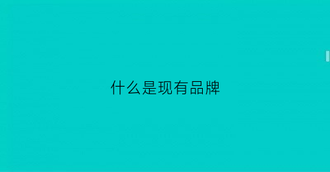 什么是现有品牌(品牌都有)