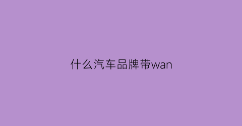 什么汽车品牌带wan(什么车名)