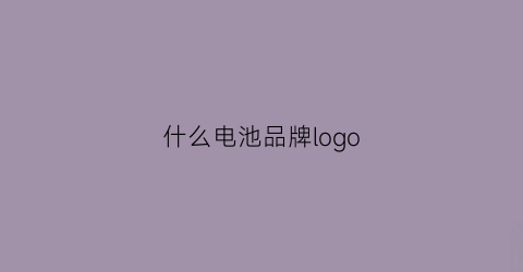 什么电池品牌logo(什么电池品牌vivoS5)