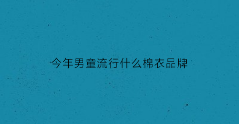 今年男童流行什么棉衣品牌(今年男童流行什么棉衣品牌的)