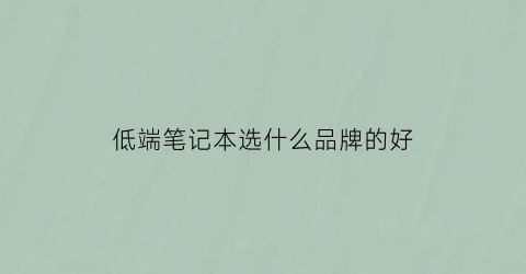 低端笔记本选什么品牌的好(低端笔记本选什么品牌的好点)