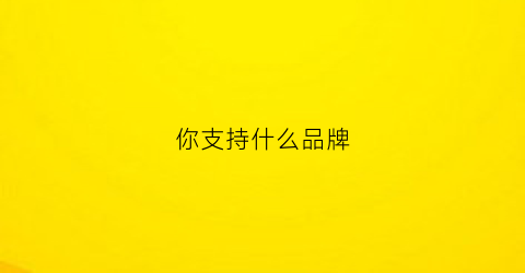 你支持什么品牌(品牌支持是什么意思)