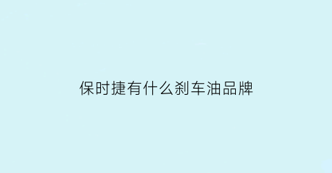 保时捷有什么刹车油品牌(保时捷用什么牌子刹车片)