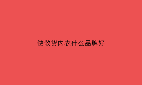 做散货内衣什么品牌好