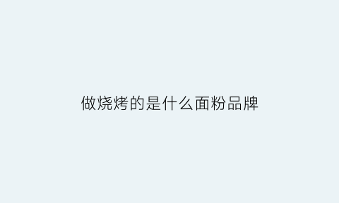 做烧烤的是什么面粉品牌(做烧烤的是什么面粉品牌好)