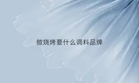 做烧烤要什么调料品牌