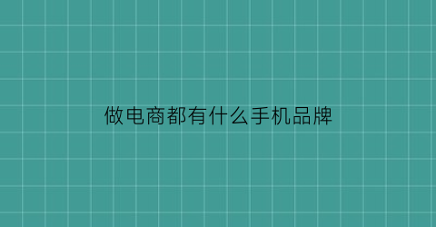 做电商都有什么手机品牌(目前做电商有什么好的产品)