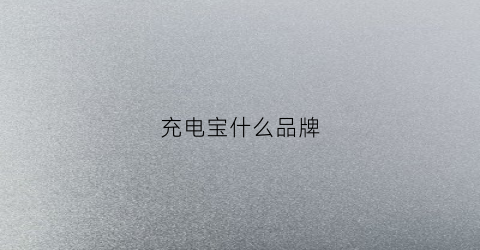 充电宝什么品牌(niye充电宝什么品牌)