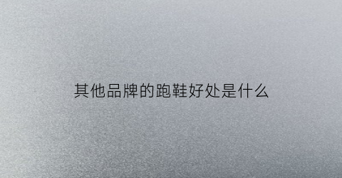其他品牌的跑鞋好处是什么(专门卖跑鞋的品牌)