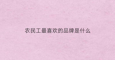 农民工最喜欢的品牌是什么(适合农民工吃的都有啥)