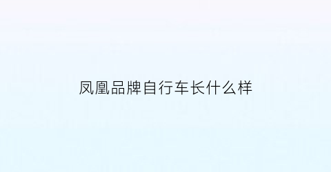 凤凰品牌自行车长什么样(凤凰自行车品牌排行榜前十名)