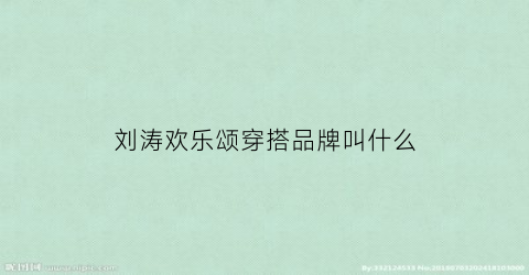 刘涛欢乐颂穿搭品牌叫什么
