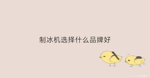制冰机选择什么品牌好(制冰机什么牌子比较好)