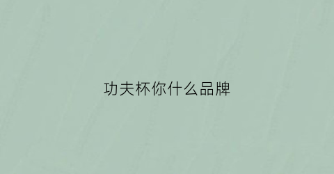功夫杯你什么品牌(功夫杯什么材质的好)