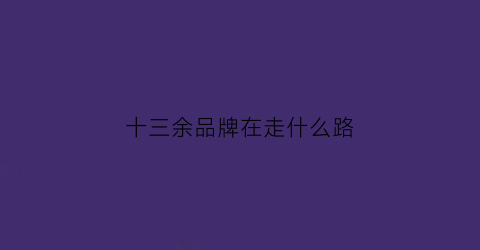 十三余品牌在走什么路(十三余品牌定位)