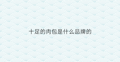 十足的肉包是什么品牌的(十足的肉包是什么品牌的好)