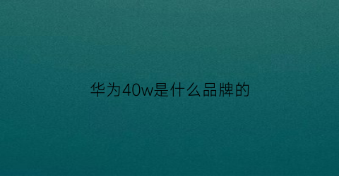 华为40w是什么品牌的(华为40w和40有什么区别)