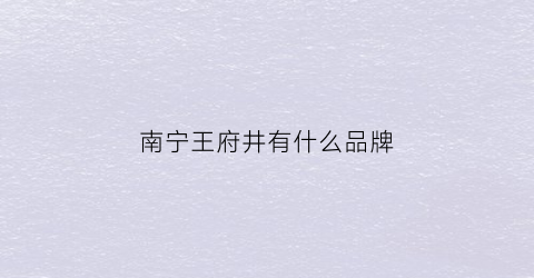 南宁王府井有什么品牌