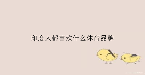 印度人都喜欢什么体育品牌(印度人都喜欢什么体育品牌的鞋子)