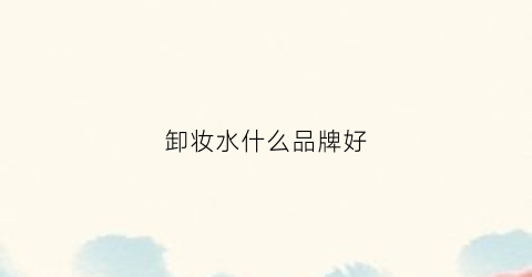 卸妆水什么品牌好(卸妆水哪个品牌最好用)