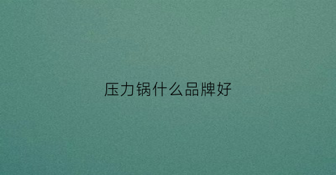 压力锅什么品牌好(压力锅什么品牌好用又实惠)