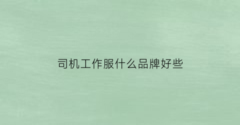 司机工作服什么品牌好些(司机服装)