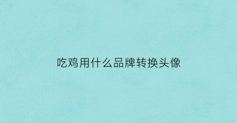 吃鸡用什么品牌转换头像(吃鸡用什么品牌转换头像好)