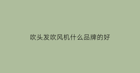 吹头发吹风机什么品牌的好(吹风机哪个牌子好用不伤头发对人没伤害)